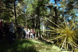 Roche-roure-15-web